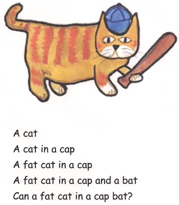 Fat cat in cap at bat.